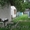 Продам дом в центре г.Жуковка Брянской обл. с большим участком - Изображение #2, Объявление #385400