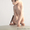 Котята канадского сфинкса от Международных чемпионов (WCF) - Изображение #3, Объявление #479846