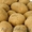 Семенной картофель из Беларуси в Брянске #1496691