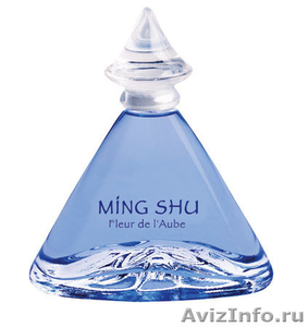 MING SHU от Ив Роше - Изображение #1, Объявление #410963