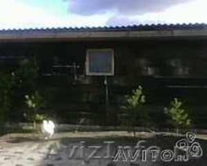 продам дом в Карачевском районе ст.Мылинка - Изображение #5, Объявление #435125