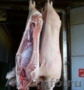 Свинина,говядина  - Изображение #1, Объявление #676758