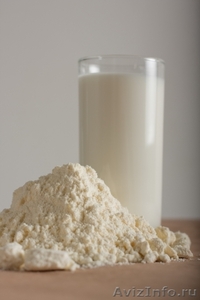 сухие сливки сухое молоко сыворотка сухая концентрат белка сыры масло сливочное - Изображение #3, Объявление #1165581