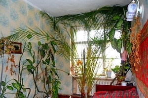 Двухкомнатная квартира в Бежицком районе г.Брянска - Изображение #2, Объявление #1261552