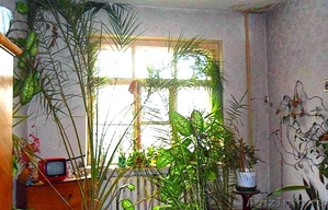 Двухкомнатная квартира в Бежицком районе г.Брянска - Изображение #1, Объявление #1261552