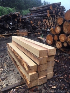 Шпала деревянная из свежеспиленного леса - Изображение #3, Объявление #1566924